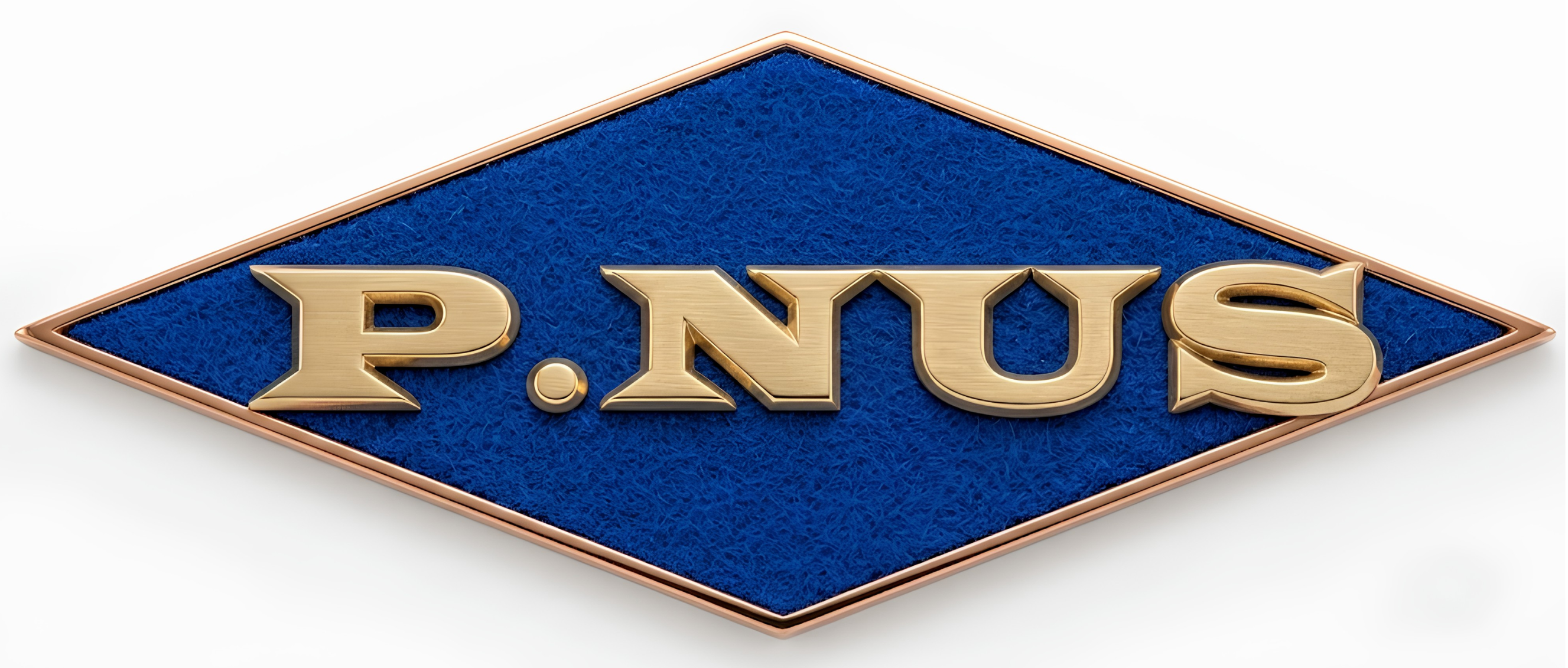 โลโก้ P.NUS